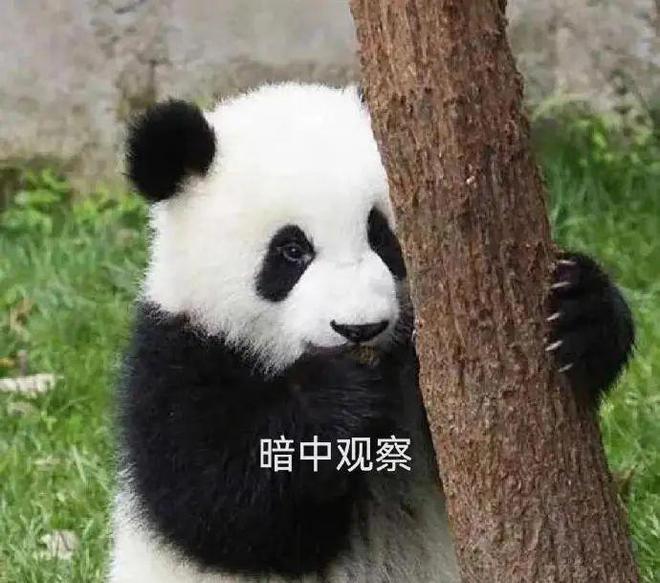 香港現金網:40嵗,有前男友還能搞純情先婚後愛?