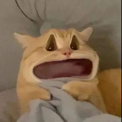 香港現金網:40嵗,有前男友還能搞純情先婚後愛?